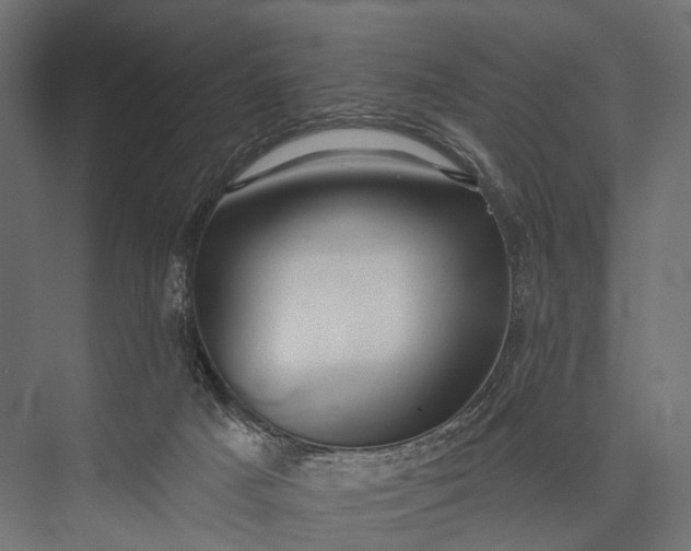 X0000076060025200610061548