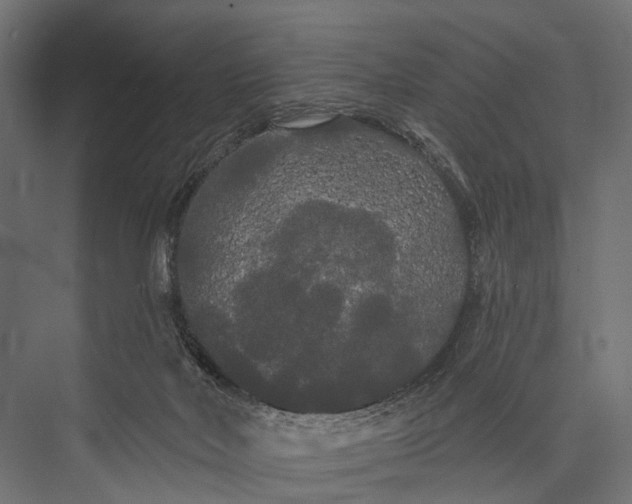 X0000076060026200610061548