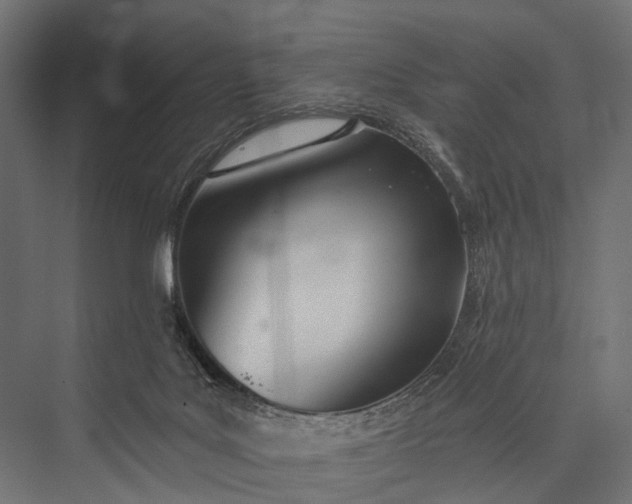 X0000076060027200610061548