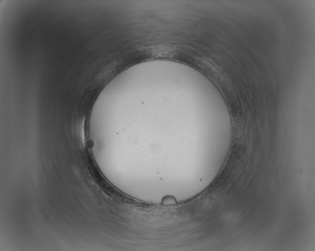 X0000076060028200610061548