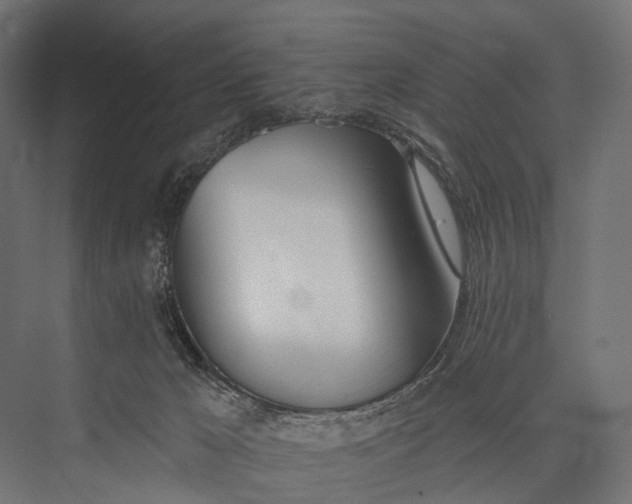 X0000076060029200610061548