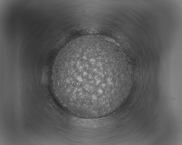 X0000076060030200610061548