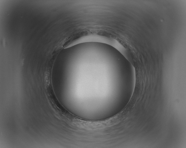 X0000076060031200610061548