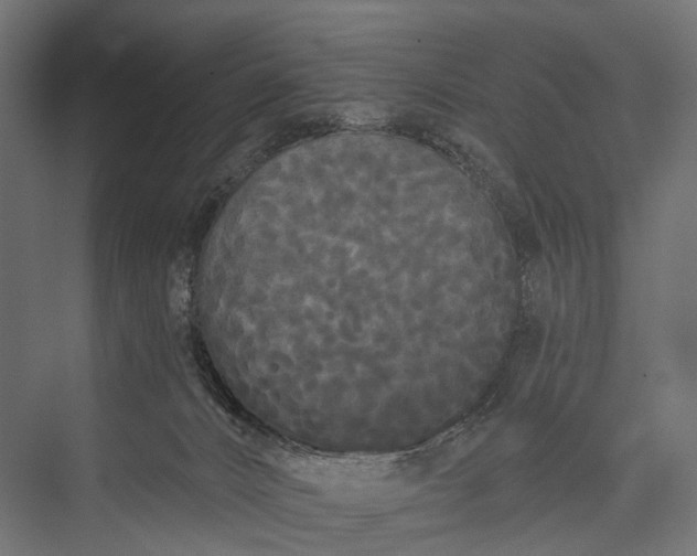 X0000076060032200610061548