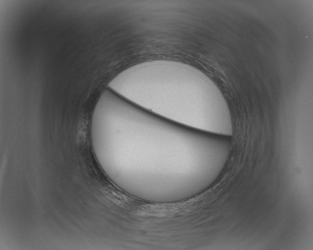 X0000076060033200610061548