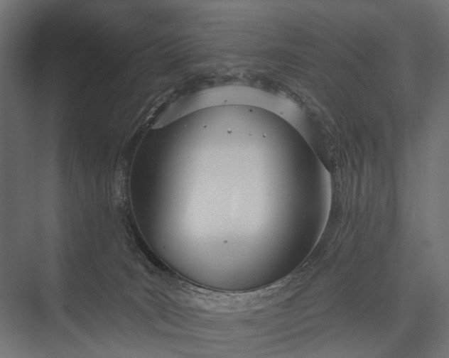 X0000076060035200610061547