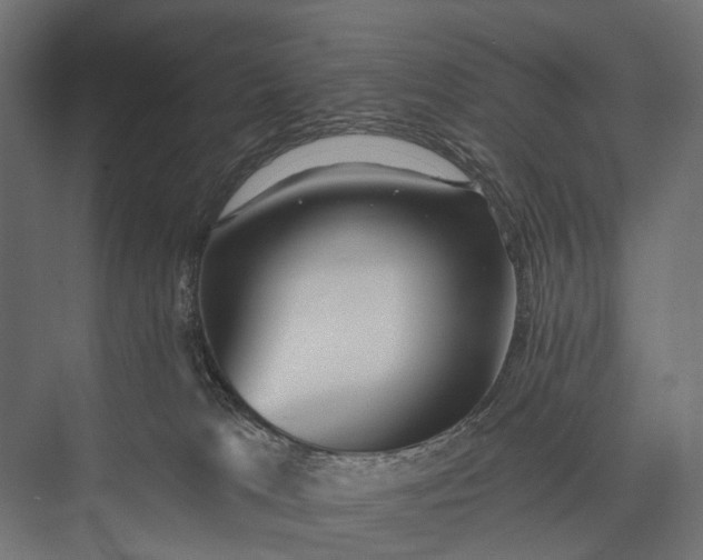 X0000076060037200610061547