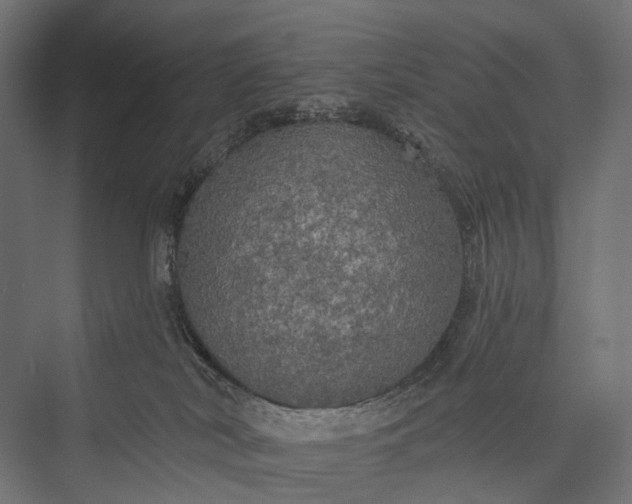 X0000076060038200610061547