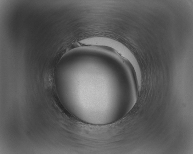 X0000076060039200610061547