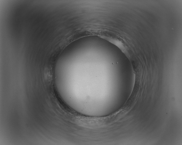 X0000076060040200610061547