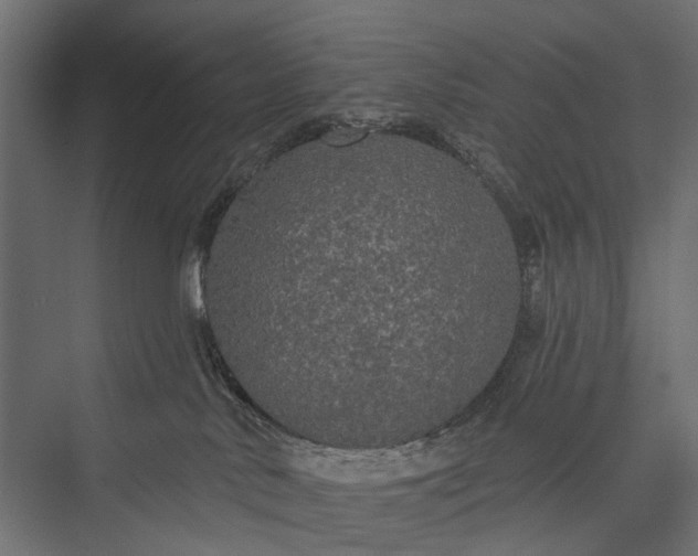 X0000076060042200610061547