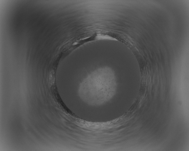 X0000076060043200610061547