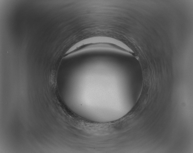 X0000076060044200610061547