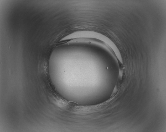 X0000076060045200610061547