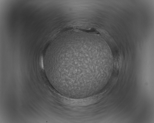 X0000076060046200610061547