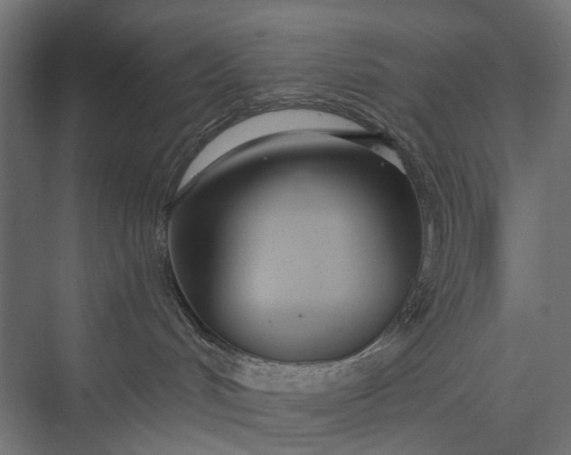 X0000076060048200610061547