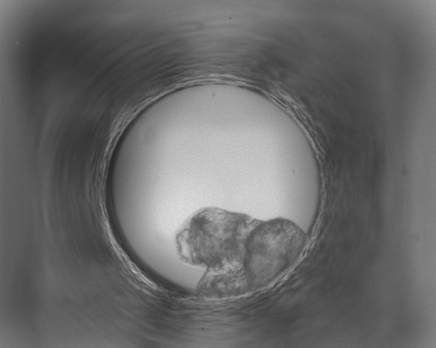 X0000076060049200610061546