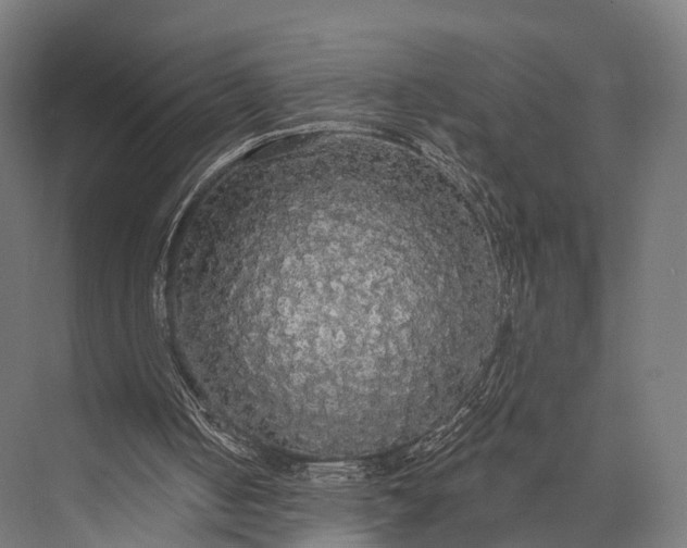 X0000076060050200610061546