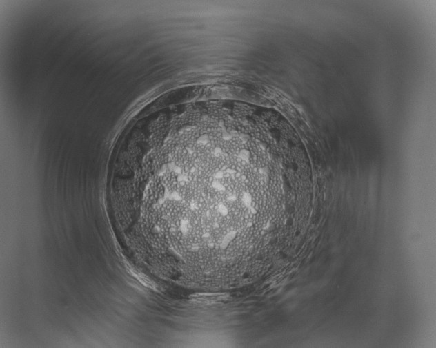 X0000076060051200610061546