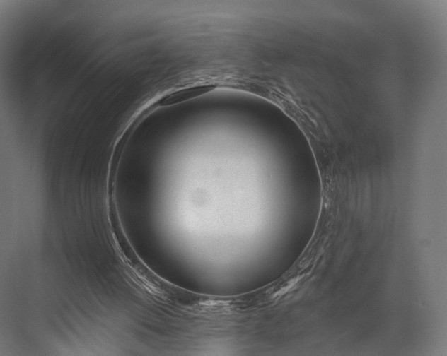 X0000076060052200610061547