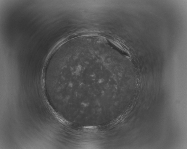 X0000076060053200610061547