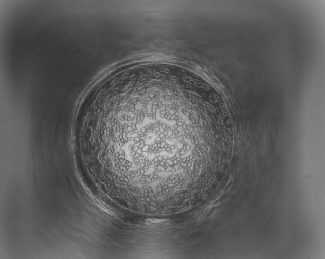 X0000076060055200610061547