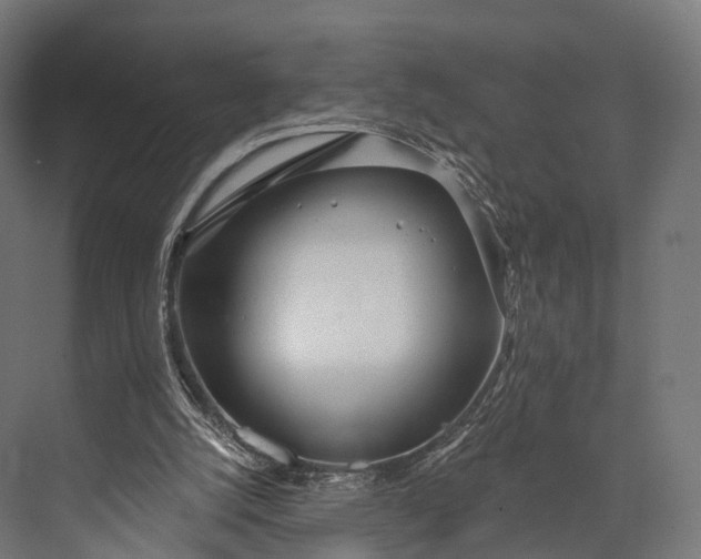 X0000076060056200610061547