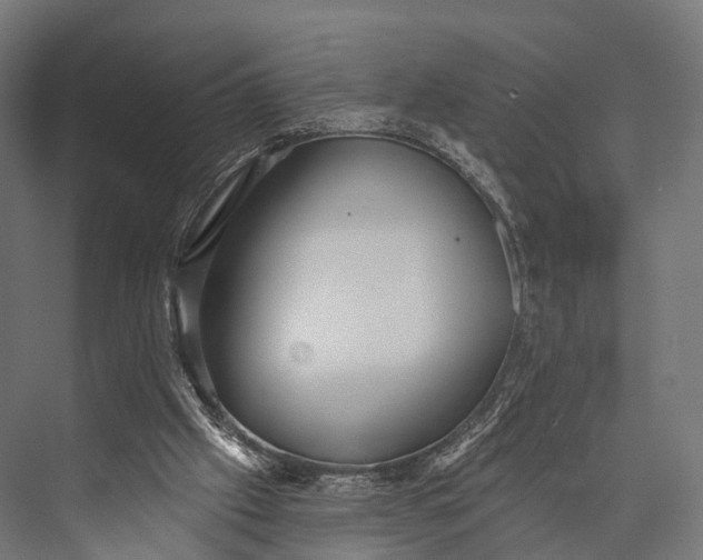 X0000076060057200610061547