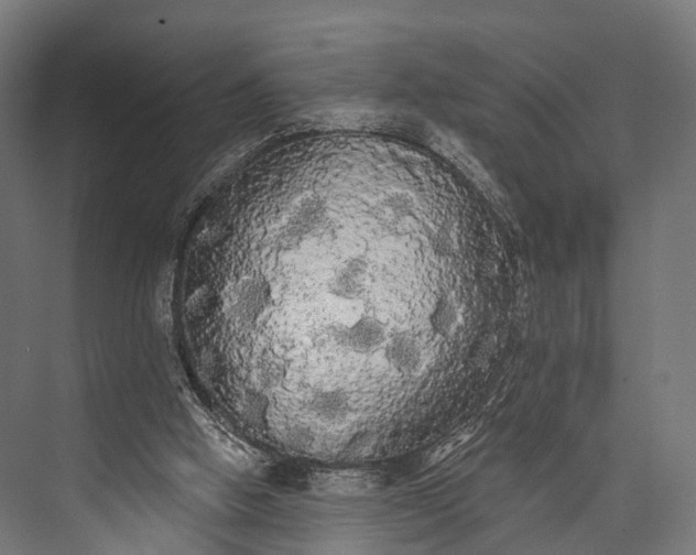 X0000076060058200610061547