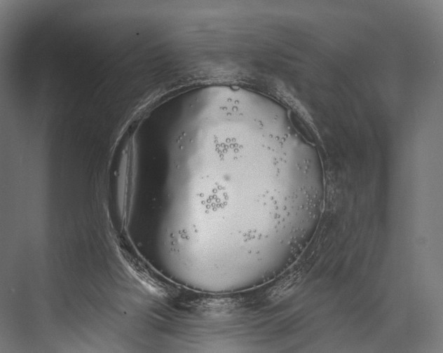 X0000076060059200610061547