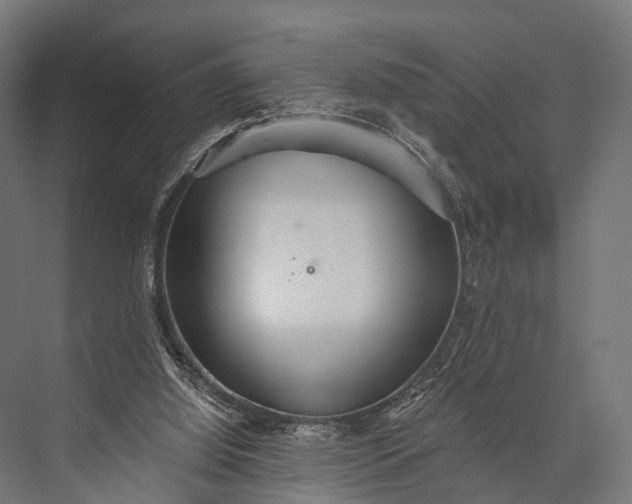 X0000076060060200610061547