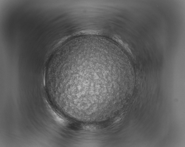 X0000076060062200610061547