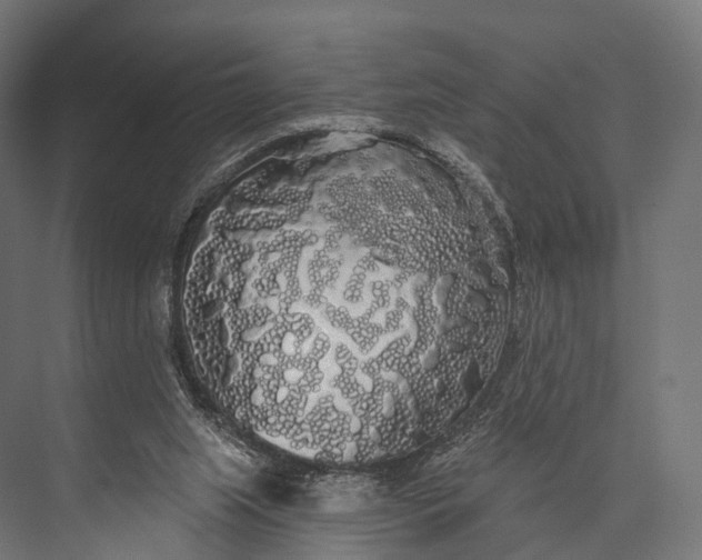 X0000076060063200610061547