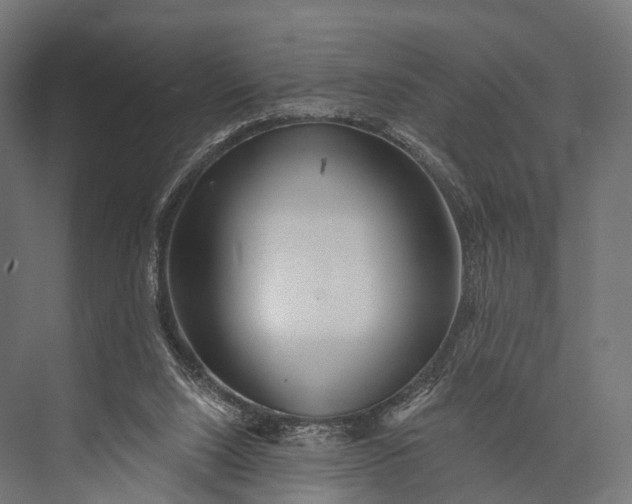 X0000076060064200610061547