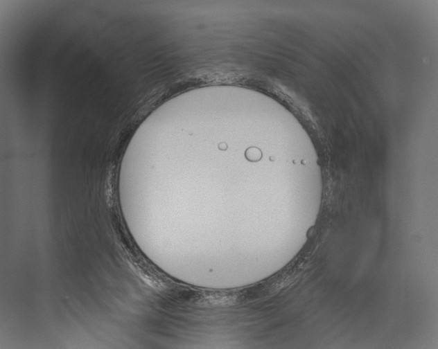 X0000076060065200610061547