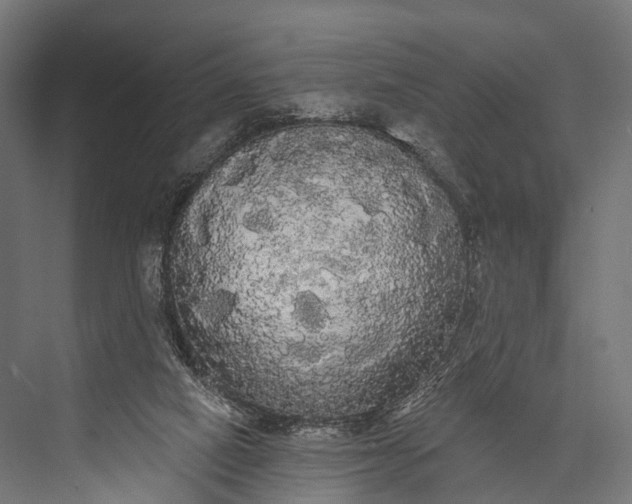 X0000076060066200610061547