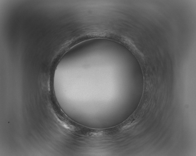 X0000076060068200610061547