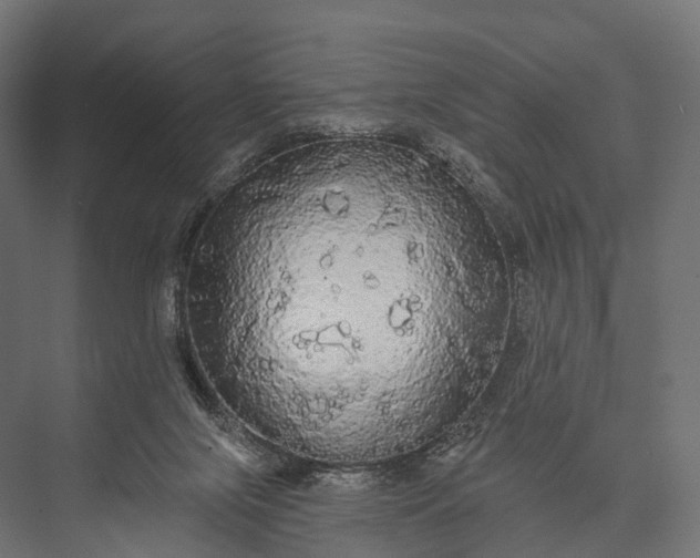 X0000076060071200610061547