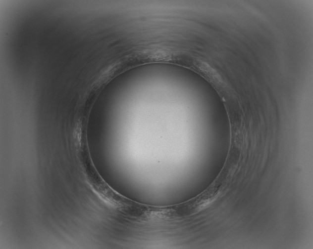 X0000076060072200610061547