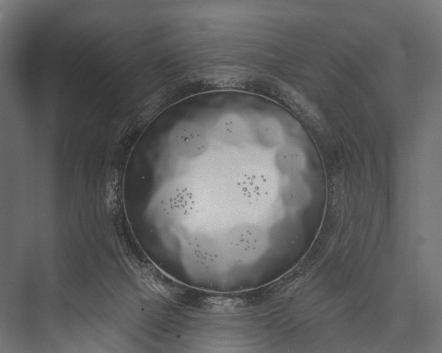 X0000076060073200610061547