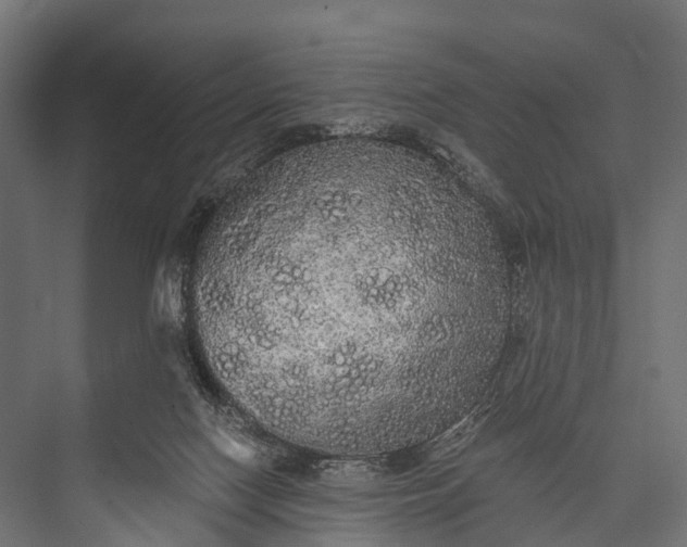 X0000076060074200610061547