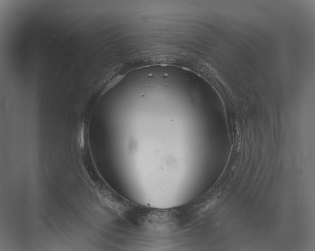 X0000076060076200610061547