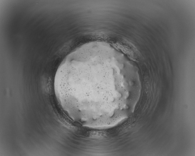 X0000076060077200610061547