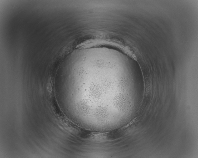 X0000076060078200610061547