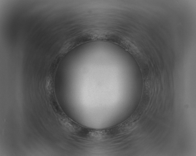 X0000076060079200610061547