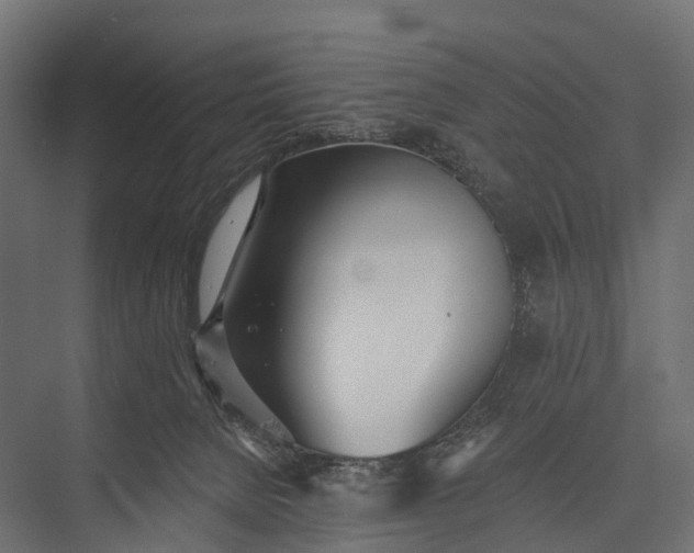 X0000076060080200610061547