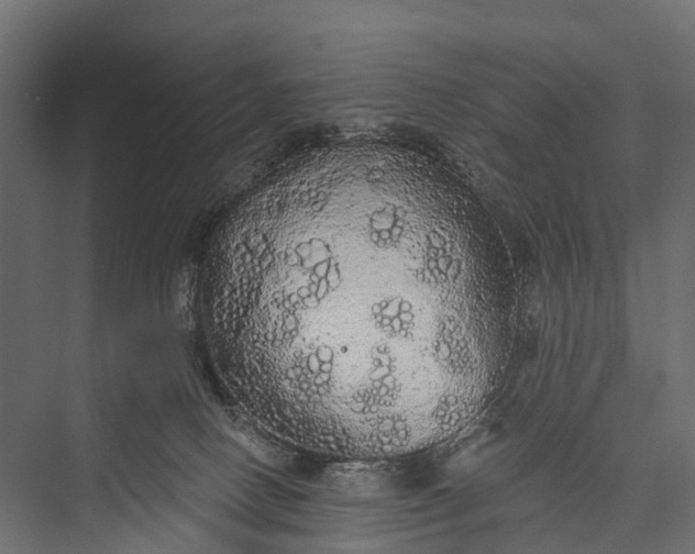 X0000076060082200610061547