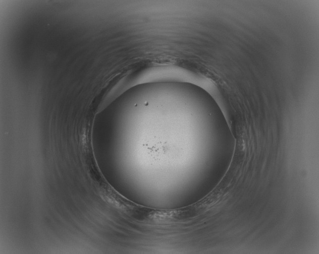 X0000076060084200610061547