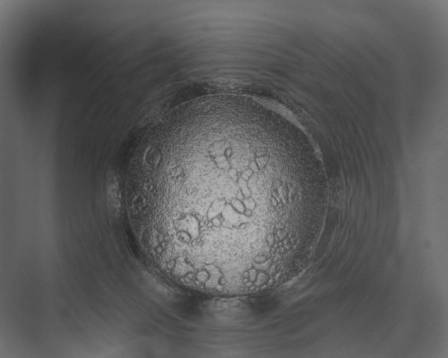 X0000076060086200610061547