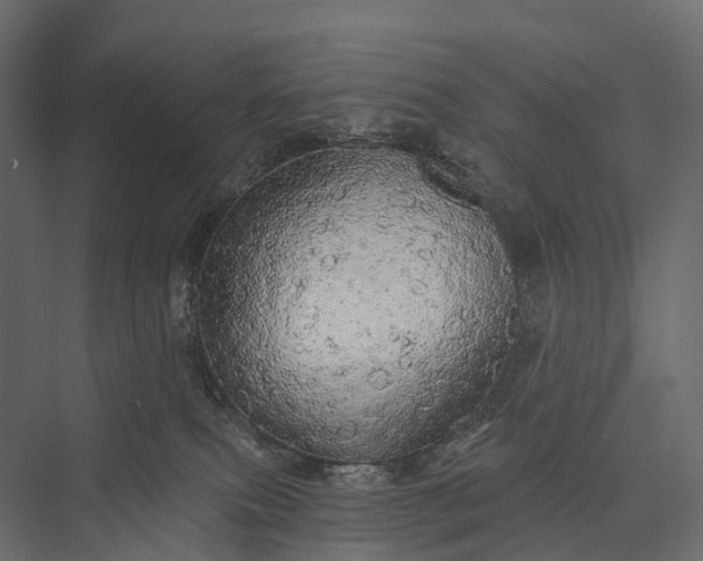 X0000076060087200610061547